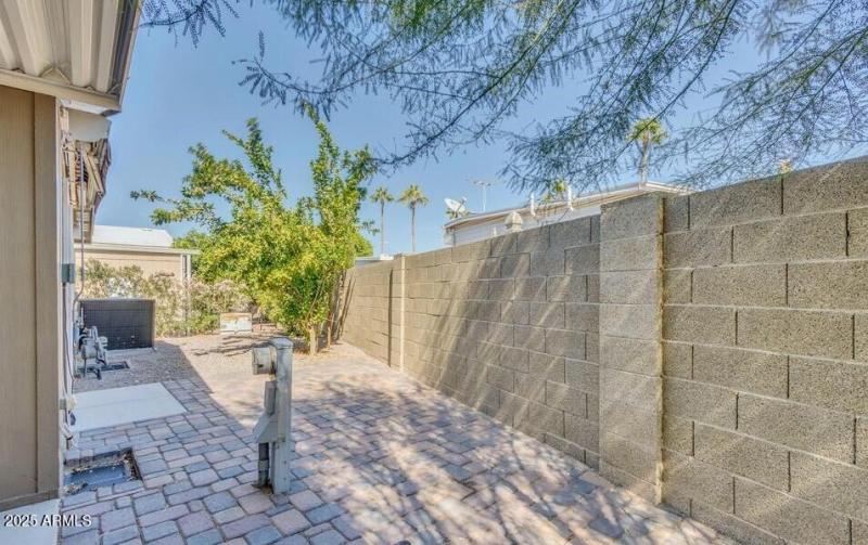 Citrus trees and pavers