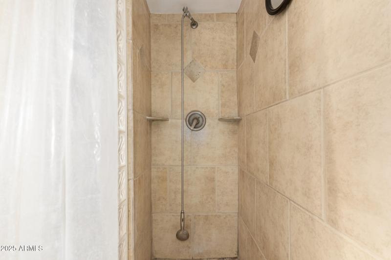 Primary suite walk-in shower