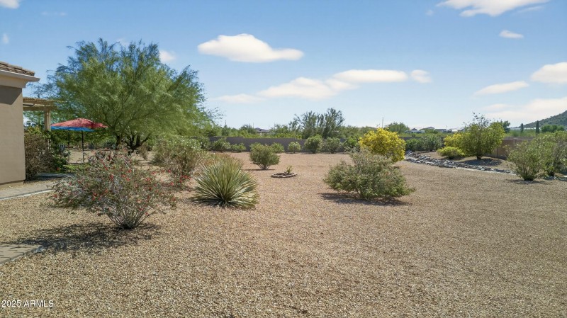 Easy Maintenance Yard