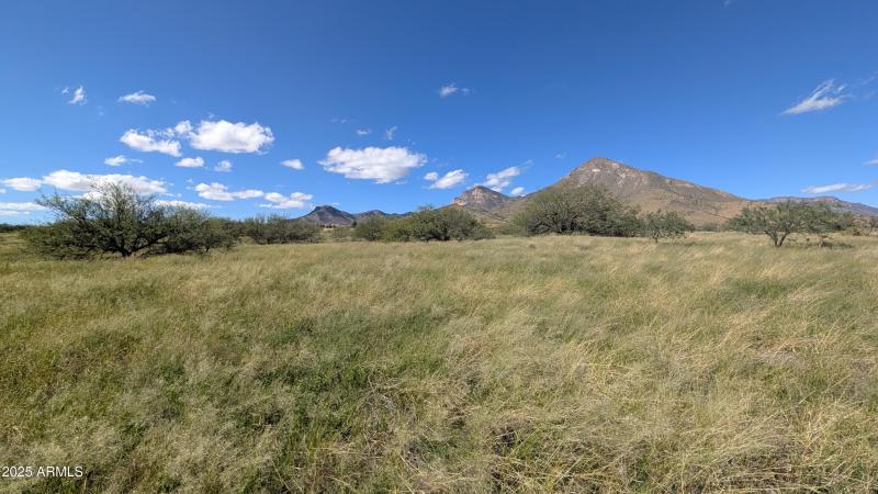 PXL_20251017_181946310