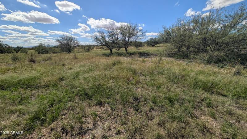 PXL_20251017_182054728