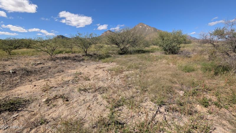 PXL_20251017_182115467