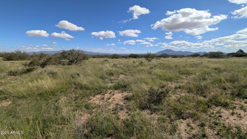 PXL_20251017_182905524