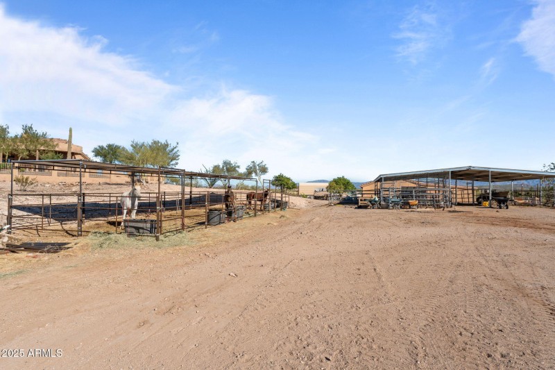 55-web-or-mls-DSC09355