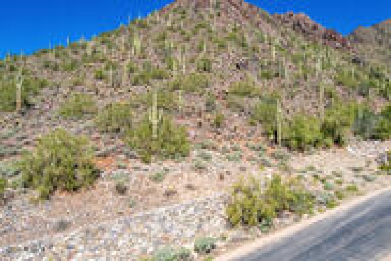 1c6d0cda7e72ce8f269f891cd3165909