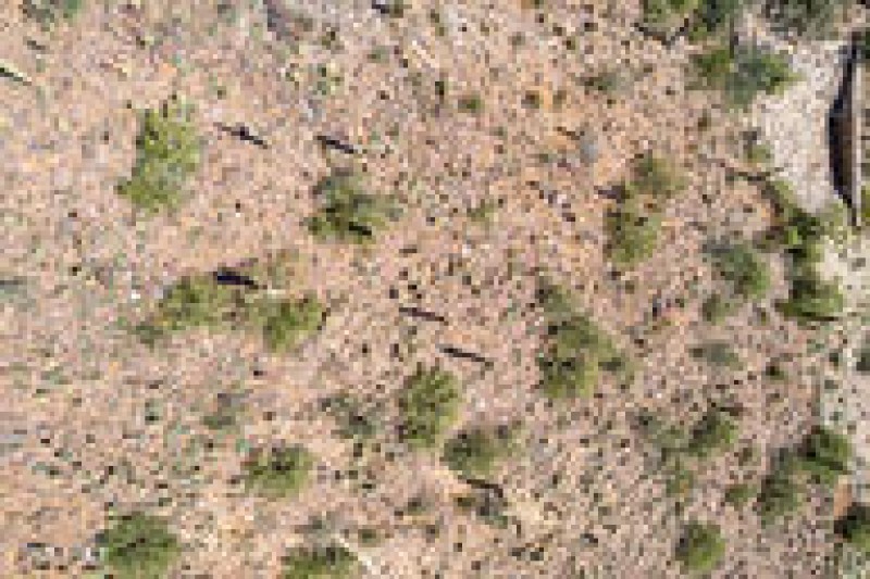 5e74b5de9bd9d1b6431bc21b8d17612c