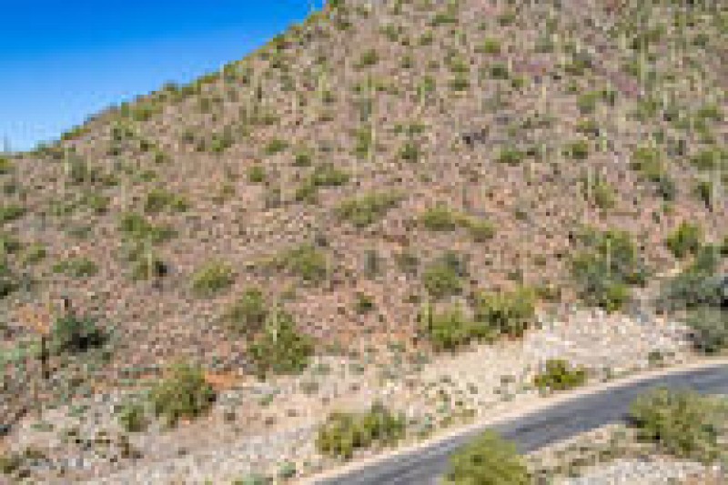 65d297602038391d931424c68fc04cd3