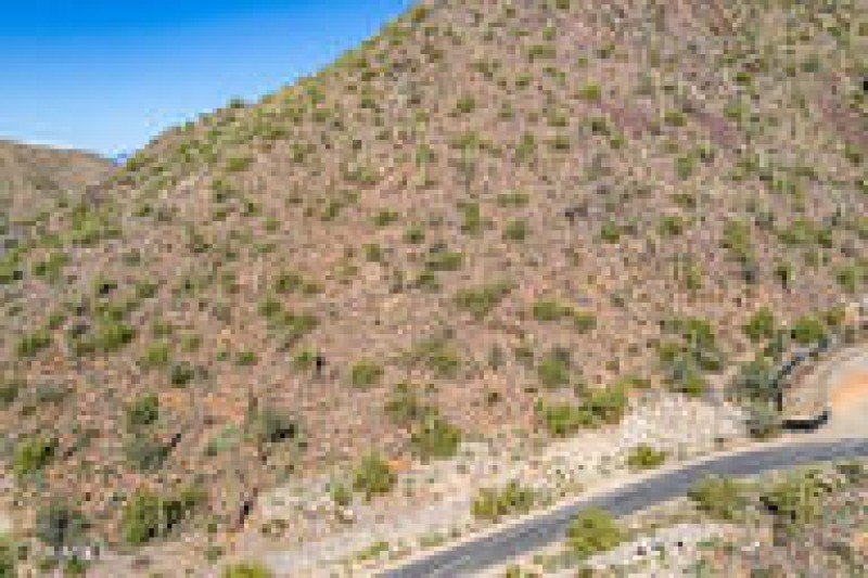 d8d4941e9b0f4a2891ce6a039008909a