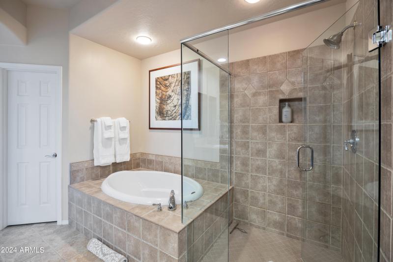 Master Tub and shower