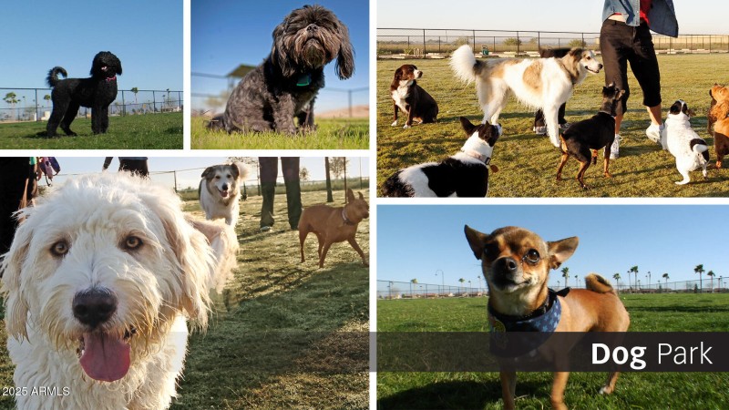 RRAZ Slideshow - Dog Park 14