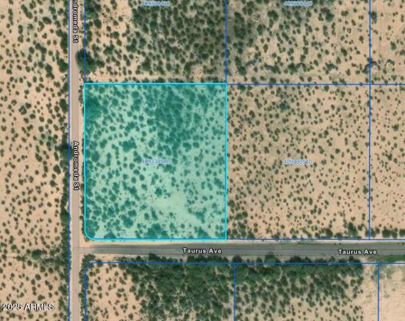 Screenshot_20-10-2025_142521_experience.