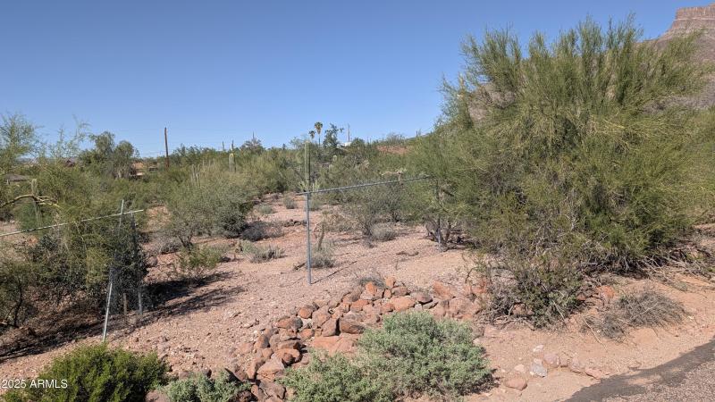 PXL_20251020_204731704