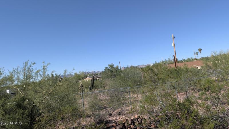 PXL_20251020_204609970