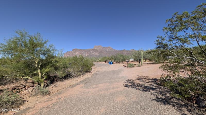 PXL_20251020_204532415