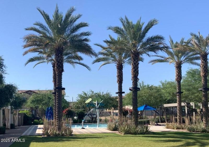 community swimming pool