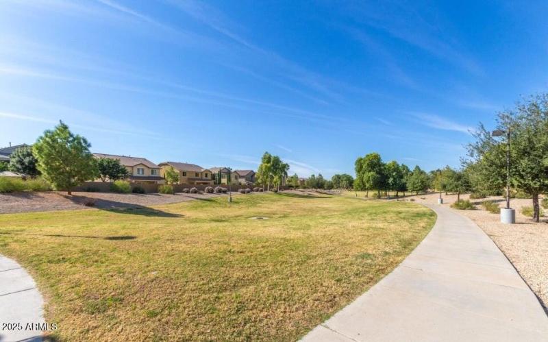 Sun Groves Comm Pics 4