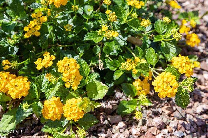 18821 N 17th Ave Phoenix AZ-print-006-06