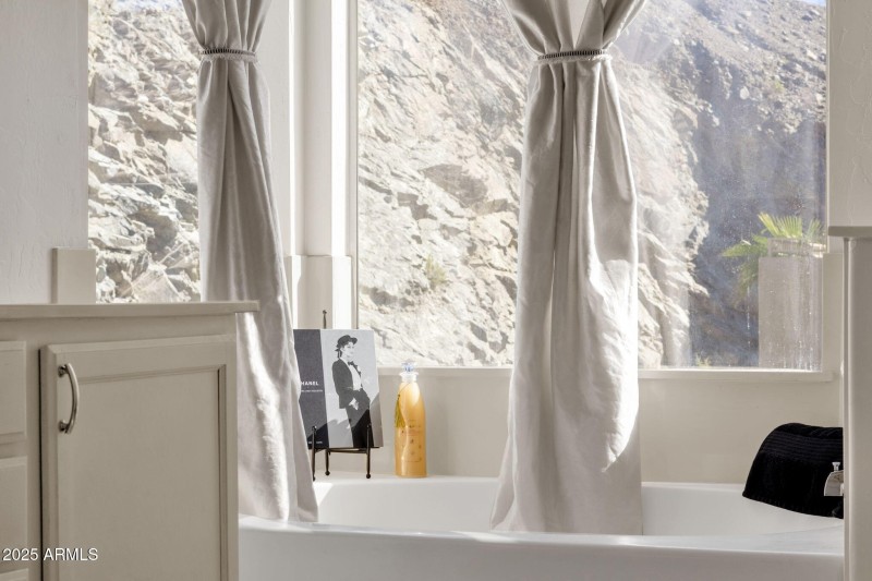 Views from Primary Bathroom