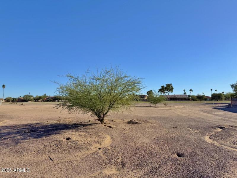 View of property from the street