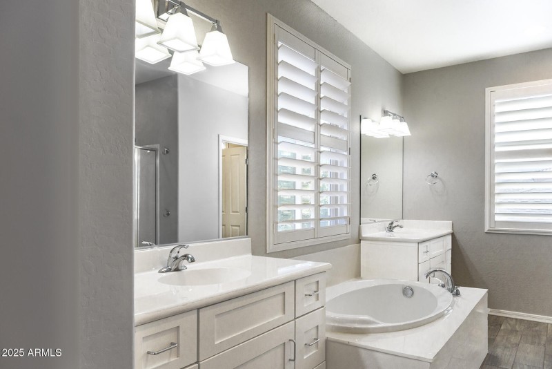 Master Bath Downstairs