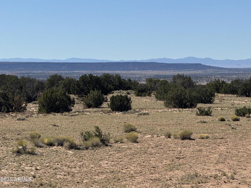 20251014003813366393000000-o