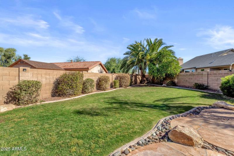 Spacious Grassy Backyard