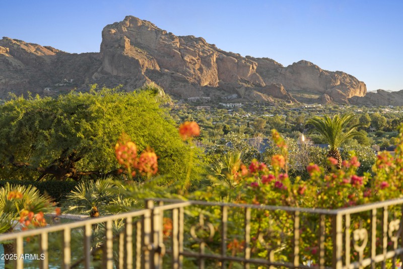 Camelback Views