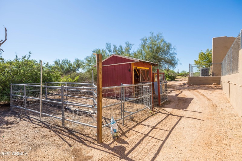 Chicken Coop