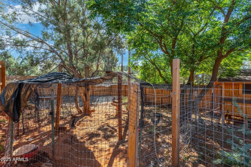 Automated chicken coop
