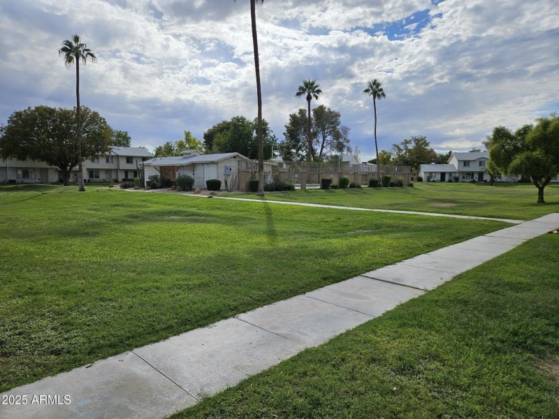 20251021_141619_resized