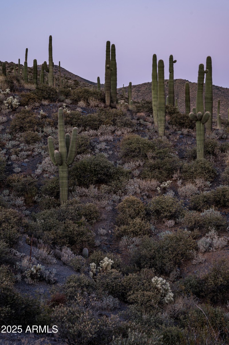 9108 N Grapevine Pass Lot 338-27