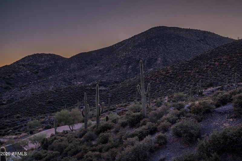 9108 N Grapevine Pass Lot 338-23