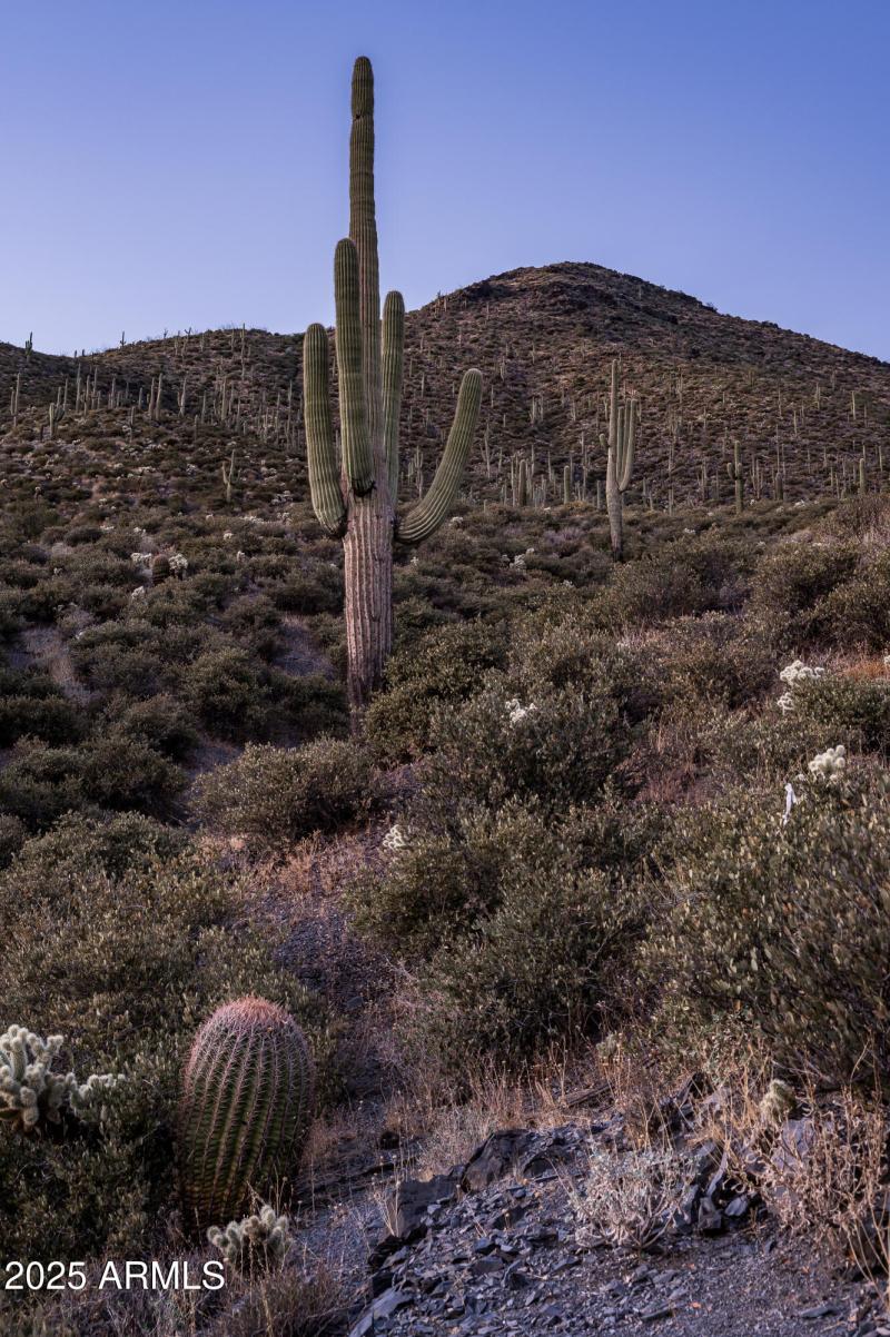 9108 N Grapevine Pass Lot 338-17