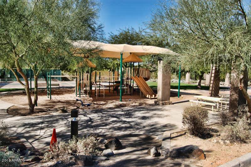 McDowell Mountain Ranch Park (2)