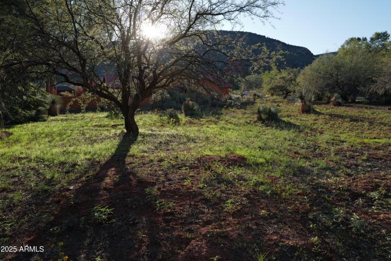 Quiet cul-du-sac location