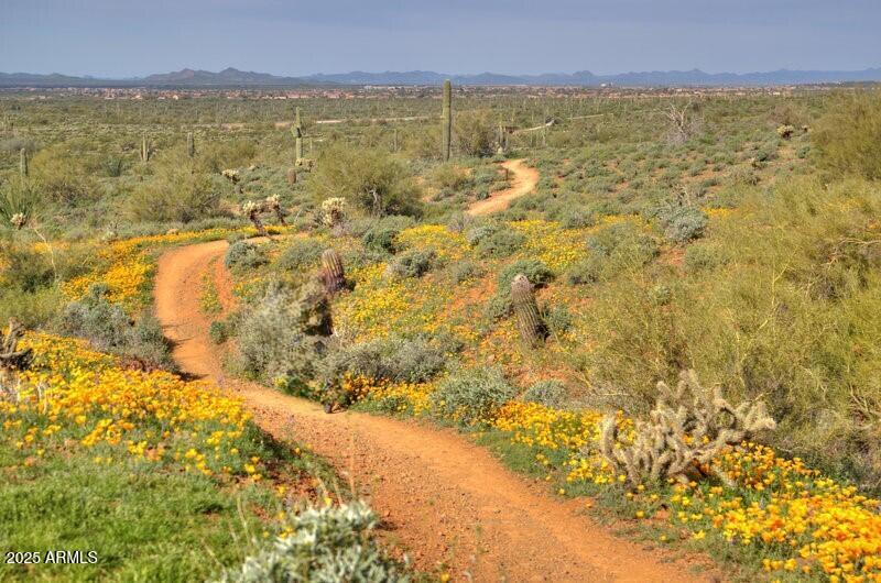 Explore miles of trails next door