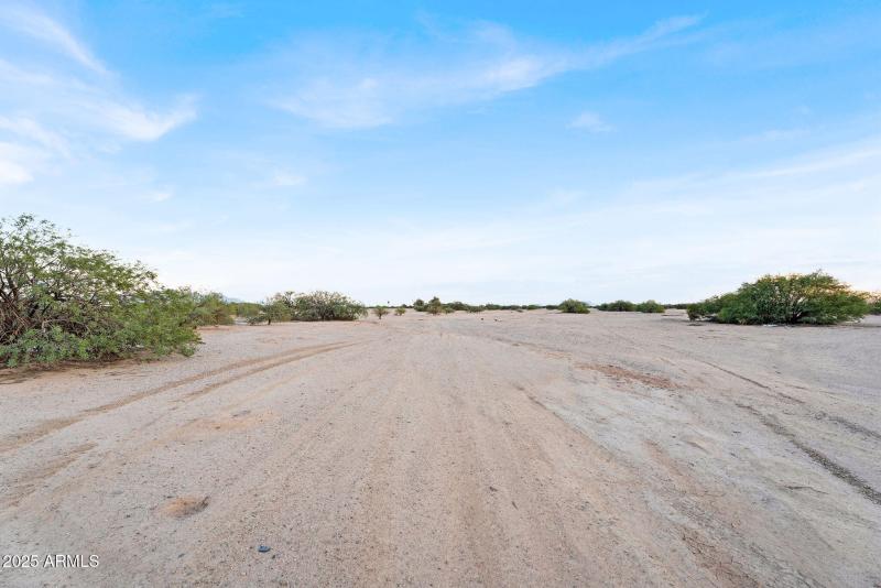 5-web-or-mls-DSC02506