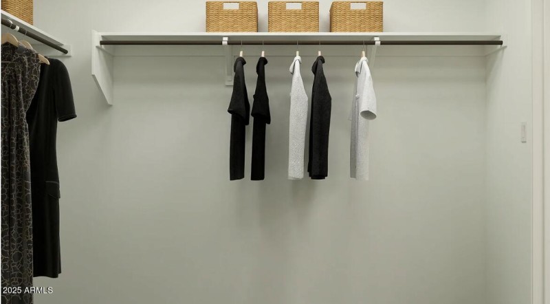 Owners Walk in Closet