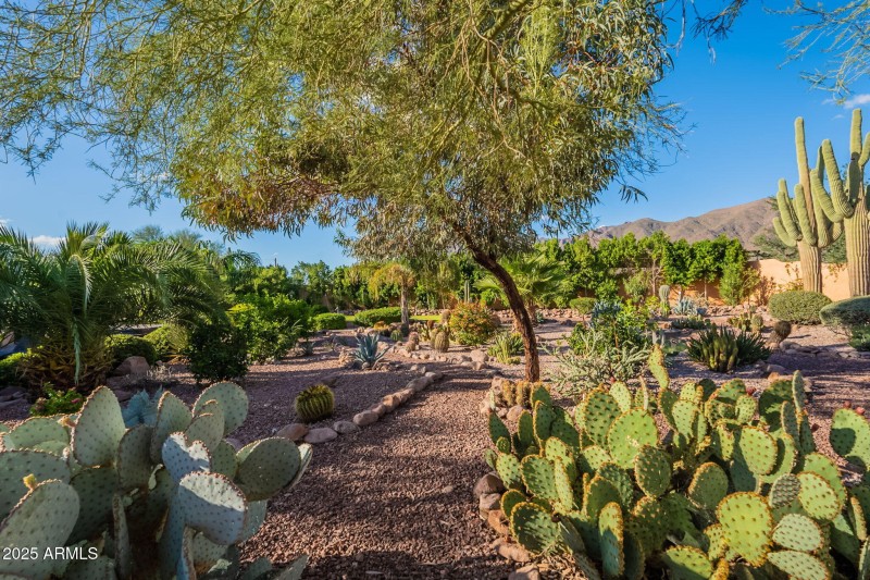 66-web-or-mls-Open Sky-66