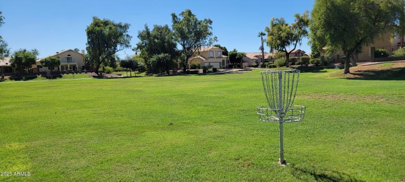 Frisbee Golf