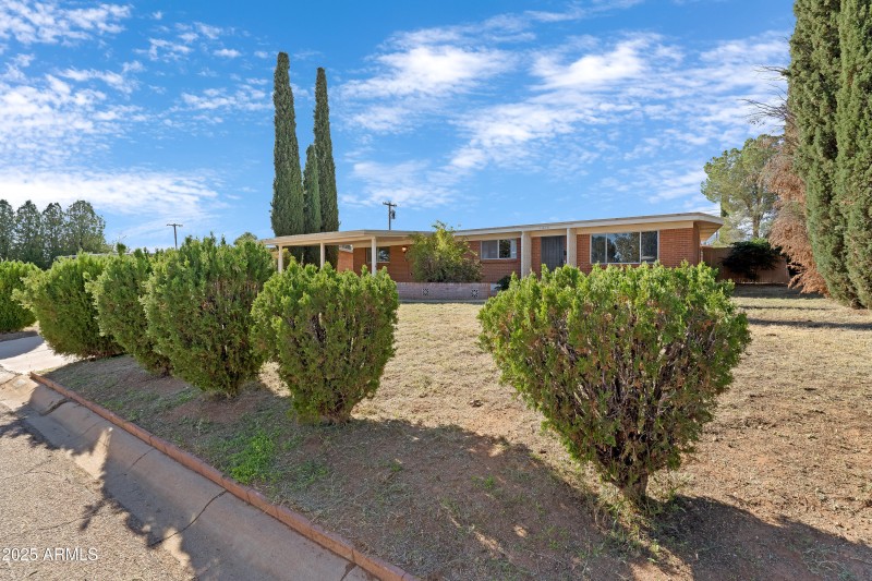 Nice Bushes for Privacy