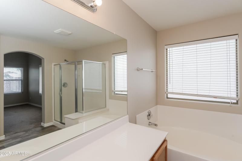 1006412.2033 W GREEN TREE DR - Main Bath