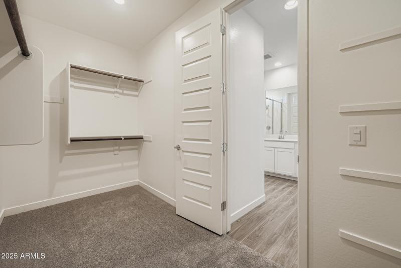 Owners Walk in Closet