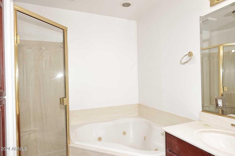 Primary Bath-Jetted Tub