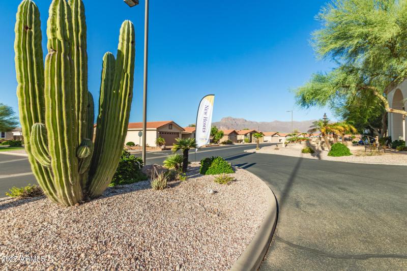 Mountain Views from Clubhouse