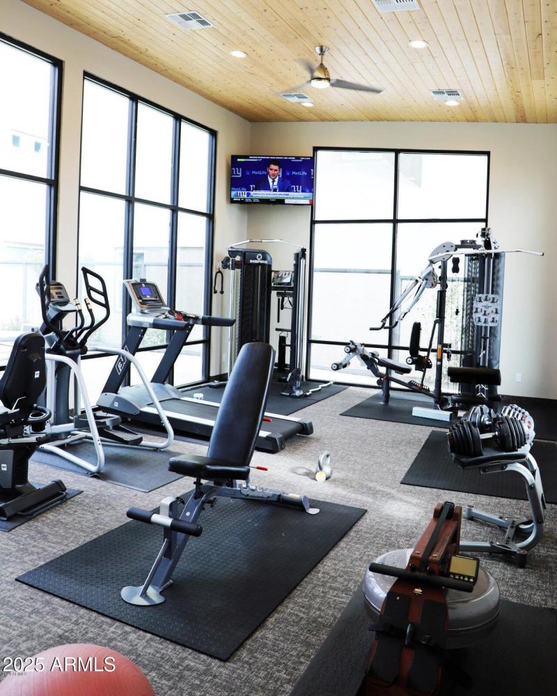 Skye work out room