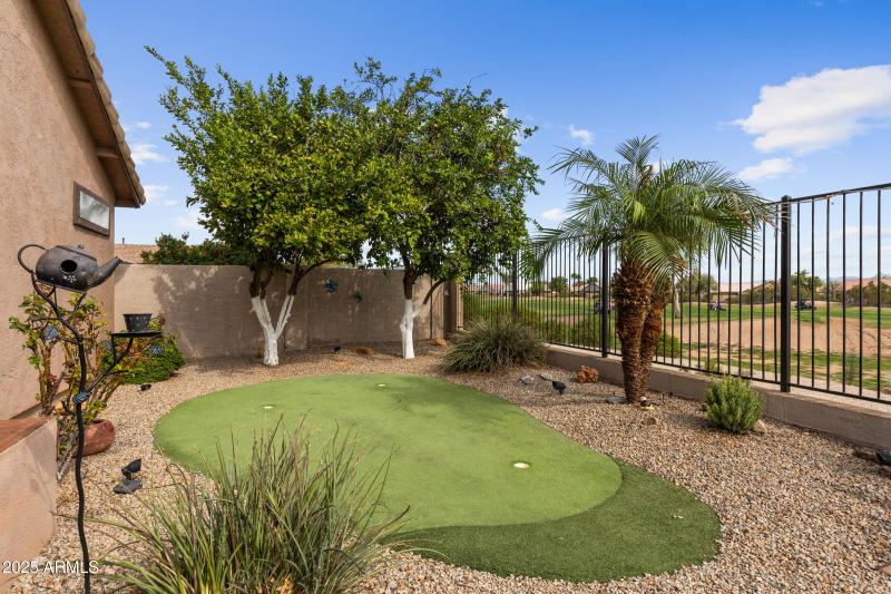 30393 N Coral Bean Dr-31