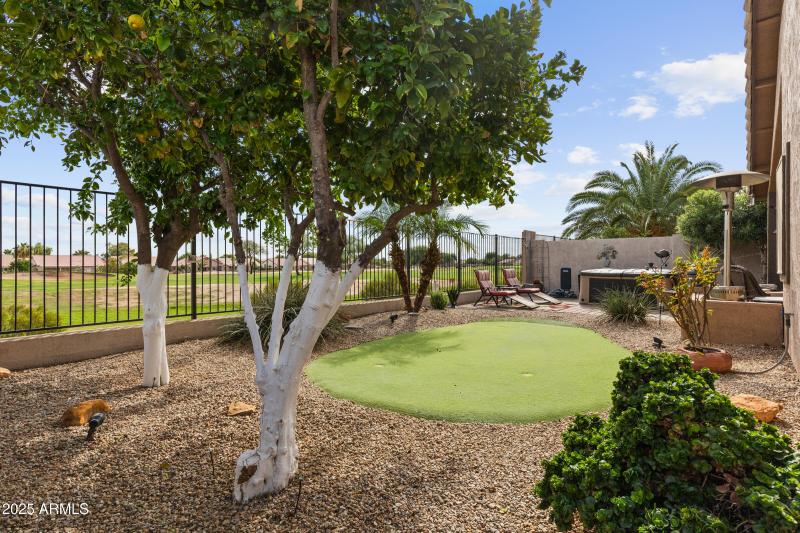 30393 N Coral Bean Dr-30