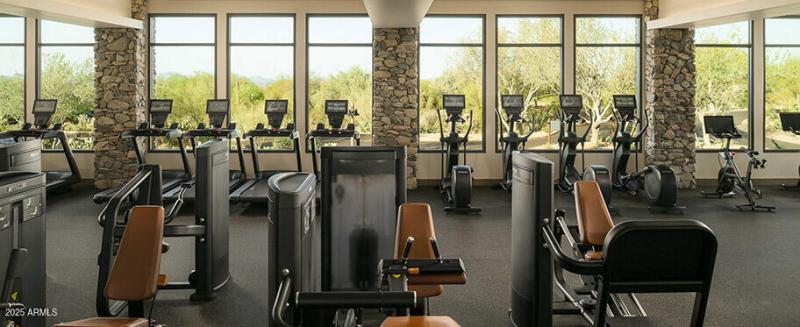 Desert-Camp-Gym-View