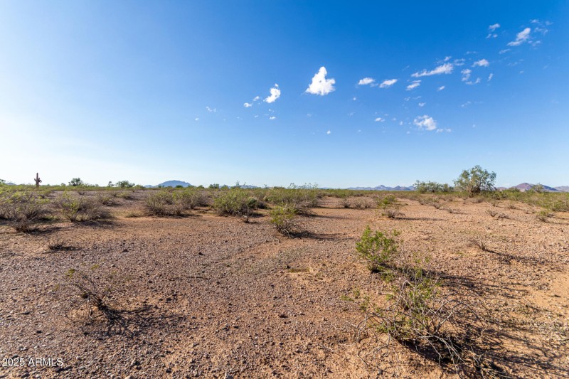 06 - 50635025P Parcel